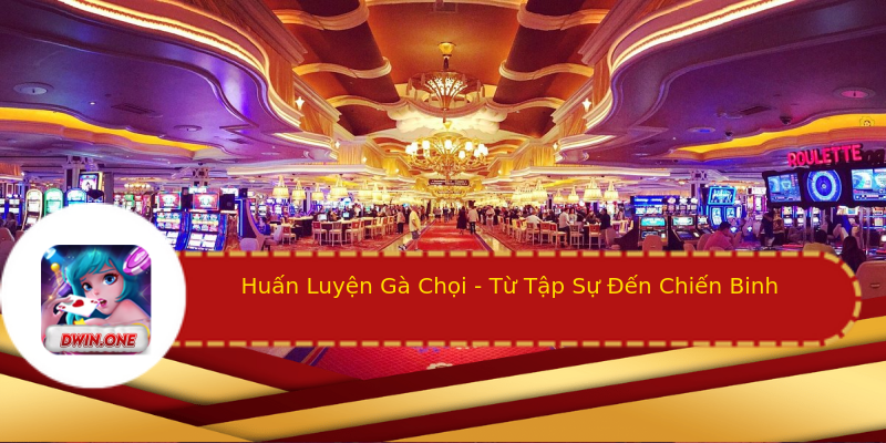 Huấn Luyện Gà Chọi - Từ Tập Sự Đến Chiến Binh Huấn Luyện Gà Chọi - Từ Tập Sự Đến Chiến Binh